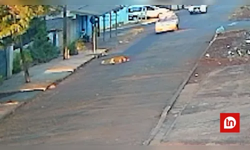 Câmera flagra momento que homem é atropelado na Vila Reis em Apucarana