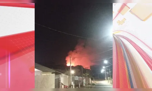 Incêndio em vegetação assusta moradores do Fariz Gebrim em Apucarana