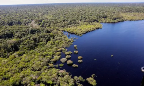 O novo museu vai unir conhecimento científico e saberes tradicionais da Amazônia