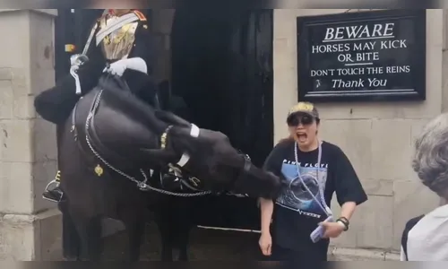 Cavalo da Guarda Real morde turista após posar para foto em Londres