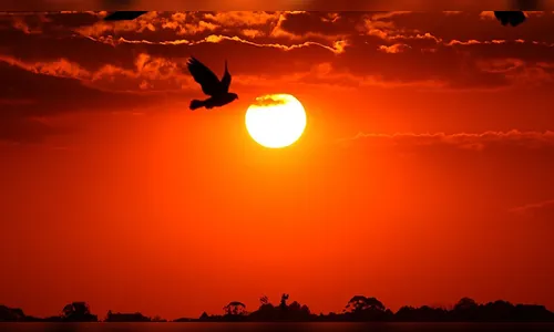 Antes da frente fria, Paraná deve registrar temperatura de quase 30°C