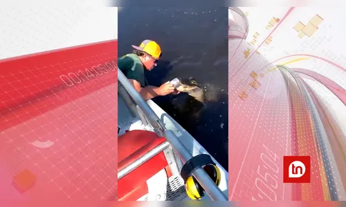 Coragem! Jovem usa jacaré para abrir lata de cerveja e vídeo viraliza