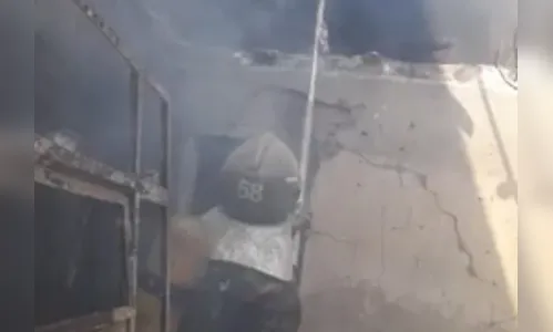 Criança ateia fogo em sofá após pais devolverem cães achados na rua