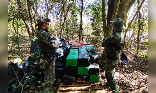Batalhão de Polícia Ambiental apreende 933,85 quilos de maconha no PR