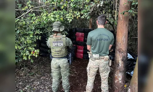PF apreende 20 mil pacotes de cigarros contrabandeados no PR