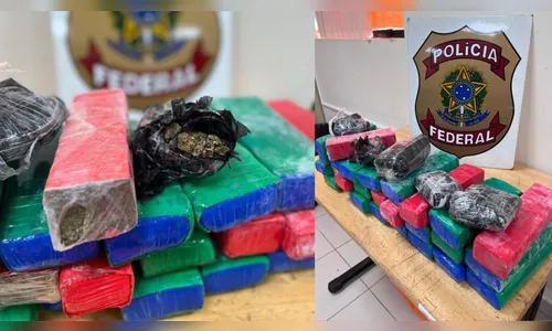 PF flagra passageira levando 19kg de maconha em ônibus no Paraná