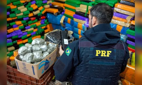PRF registra recorde de apreensão de drogas no Paraná no 1º semestre