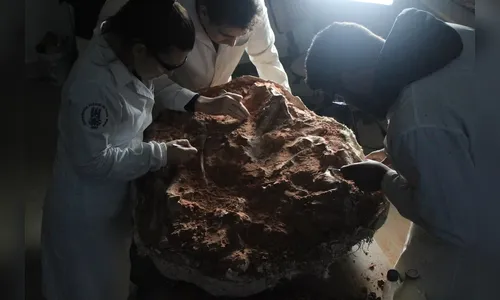 Fóssil de dinossauro de 230 mi de anos é descoberto após chuvas no RS