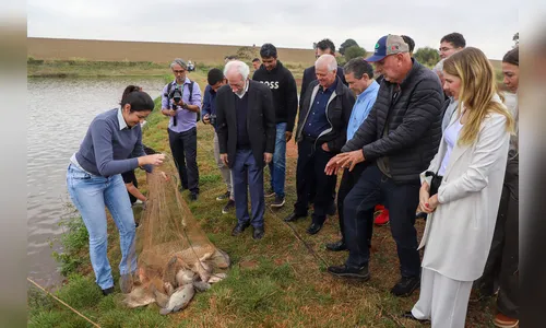 Piana apresenta produtores locais de tilápia ao ministro da Pesca