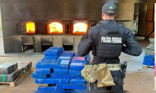 Polícia destrói aproximadamente 5,5 toneladas de drogas no PR