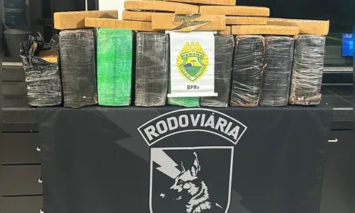PM apreende mais de 200 quilos de maconha no Paraná