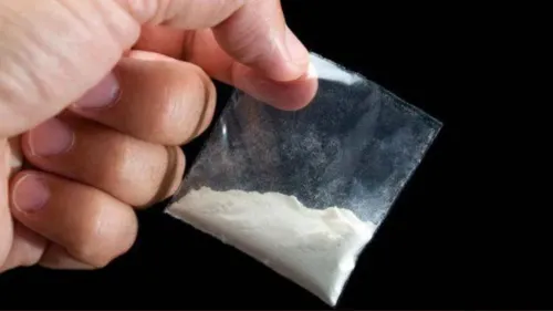 Quase 80 quilos de cocaína foram apreendidos neste ano na região