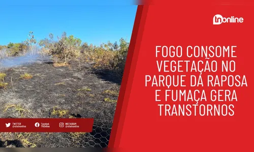 Queimada destrói mata nativa no Parque da Raposa; secretário faz apelo