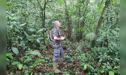 Pesquisadores monitoram répteis e anfíbios durante obra em Guaratuba