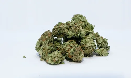 O que é skunk, droga apreendida com mulher em Arapongas