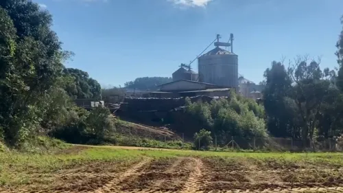 Trabalhador cai em silo e morre soterrado no Paraná