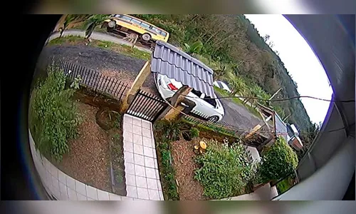 Ônibus escolar com mais de 20 alunos cai em rio; veja flagrante