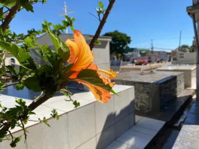 Velórios acontecem em Apucarana