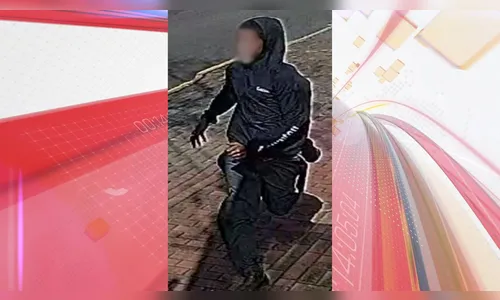 Ladrão tenta roubar celular em Apucarana, mulher grita e impede crime