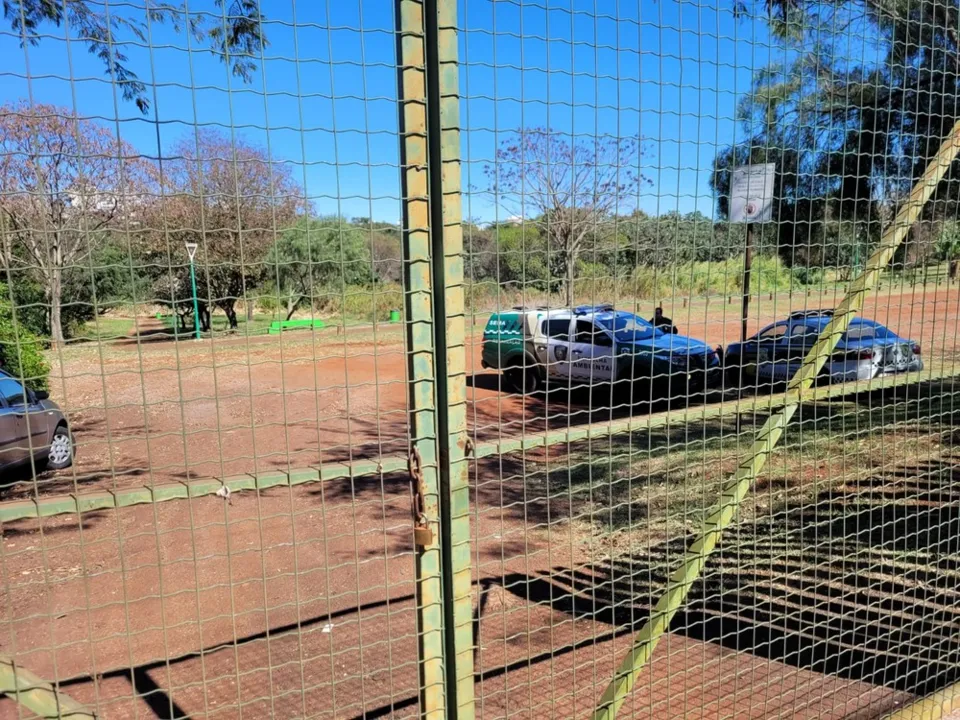 Cachorros estão sendo procurados pela Polícia Ambiental