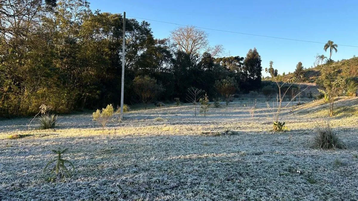 Geada está prevista em grande parte do Estado