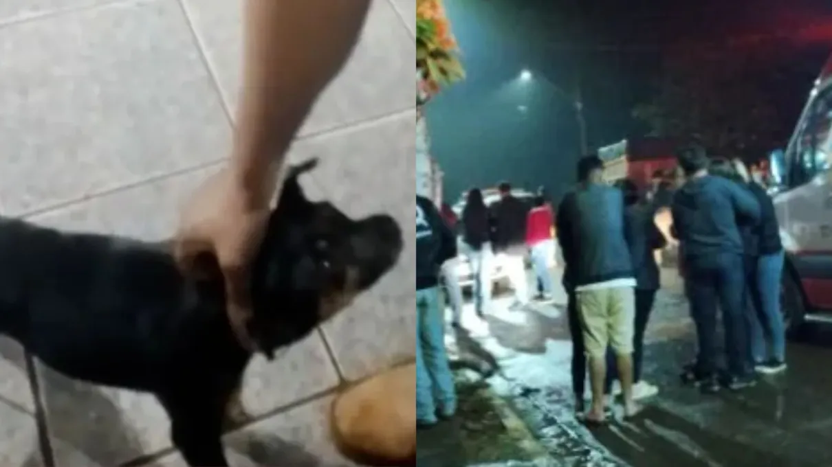 Homem morto em Ivaiporã é o mesmo que maltratou cachorro em junho