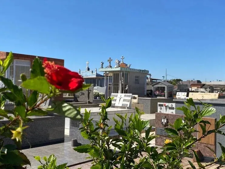 Sepultamentos são realizados neste domingo