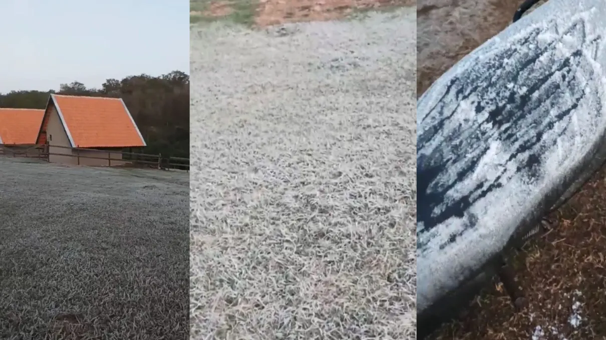 Sítio de Apucarana registra geada neste domingo; veja imagens