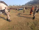 Buscas por bebê desaparecido são em mata de difícil acesso; veja fotos