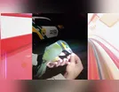 Tucano Araçari machucado é resgatado na região: "Não conseguia voar"