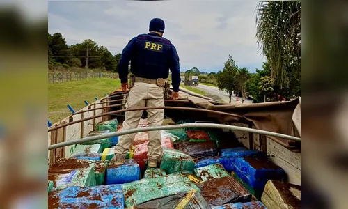 PRF apreende 10 toneladas de maconha e faz a maior apreensão do ano