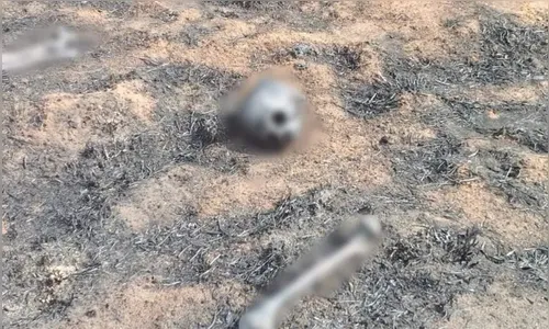 Veja o que se sabe sobre ossada humana encontrada após incêndio