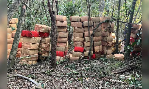 PM apreende 6 toneladas de maconha no Oeste do Paraná