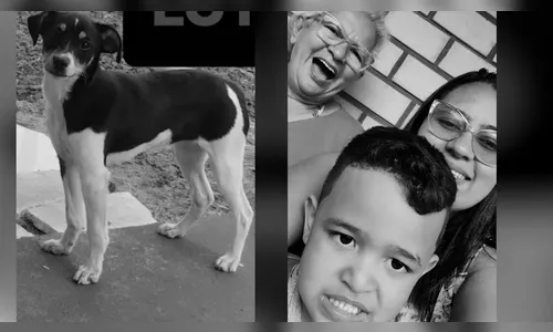 Família e cachorrinha de estimação morrem em queda de avião