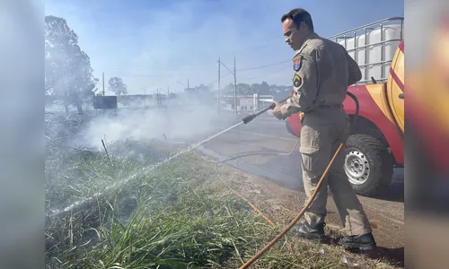 Incêndios ambientais aumentaram 120% durante onda de calor na região