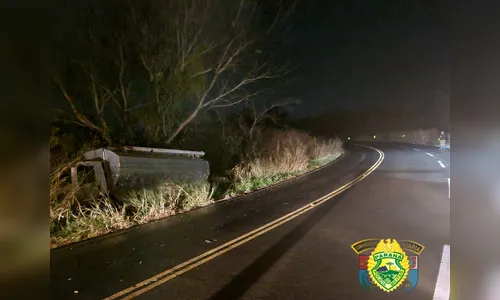 Caminhão de Apucarana bate em árvore e motorista fica ferido na PR-090