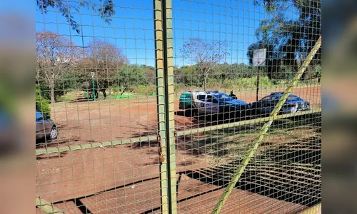 Cães da raça pitbull atacam idosos que caminhavam em parque do PR