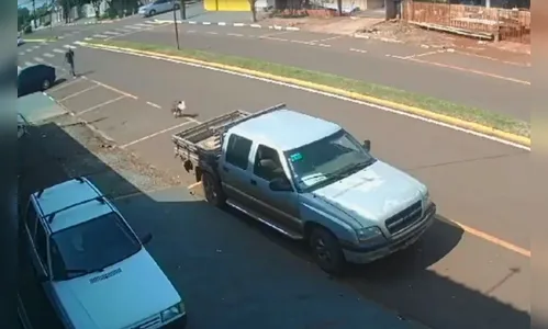 Vídeo flagra cachorrinha 