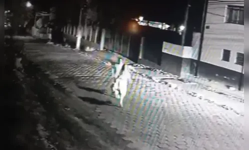 Vídeo mostra homem perseguindo e agredindo ex no Paraná; veja