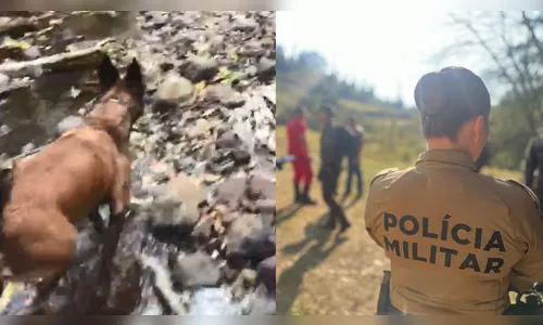 Cão farejador da PM auxilia operação para encontrar bebê desaparecido