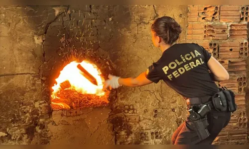 Cerca de 1,7 tonelada de droga é incinerada no PR