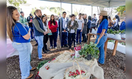 Colégio Agrícola abre Expoagri com 60 projetos em Apucarana