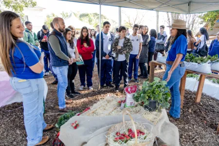 Colégio Agrícola possui cerca de 300 alunos, oriundos de 51 municípios do Paraná e também de outros estados