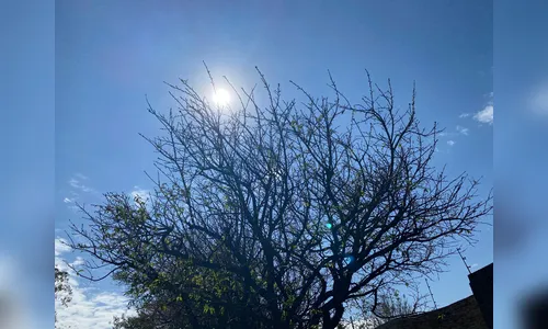 Calor? Saiba como fica o clima deste sábado (3) em Apucarana