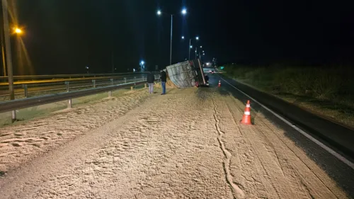 Farelo de soja caiu na pista