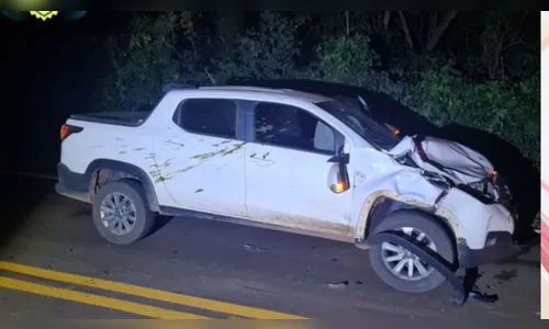 Fiat Strada atropela boi na rodovia entre Rio Bom e Marilândia do Sul
