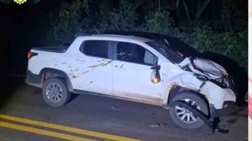 Fiat Strada atropela boi na rodovia entre Rio Bom e Marilândia do Sul