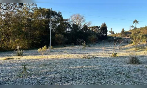 Previsão promete temperaturas negativas e geada no PR nesta segunda