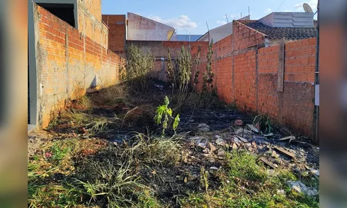 Homem é preso por atear fogo em terreno próximo de casas em Arapongas