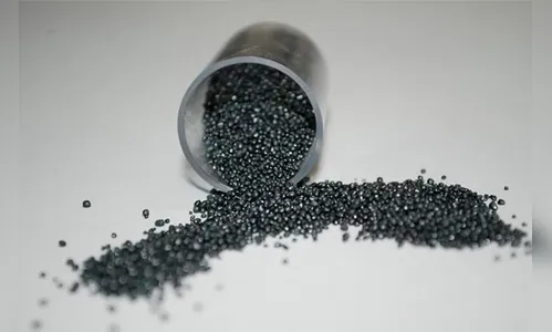 Mulher chega em casa e encontra gato agonizando após ser envenenado